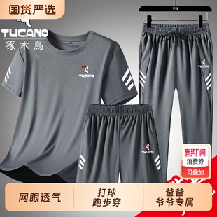 短裤 工作服网眼透气男t恤短袖 速干休闲运动三件套 薄款 啄木鸟夏季