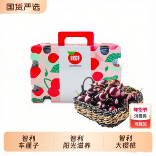 【现货】智利进口车厘子大樱桃新鲜水果礼盒孕妇水果JD/顺丰到家