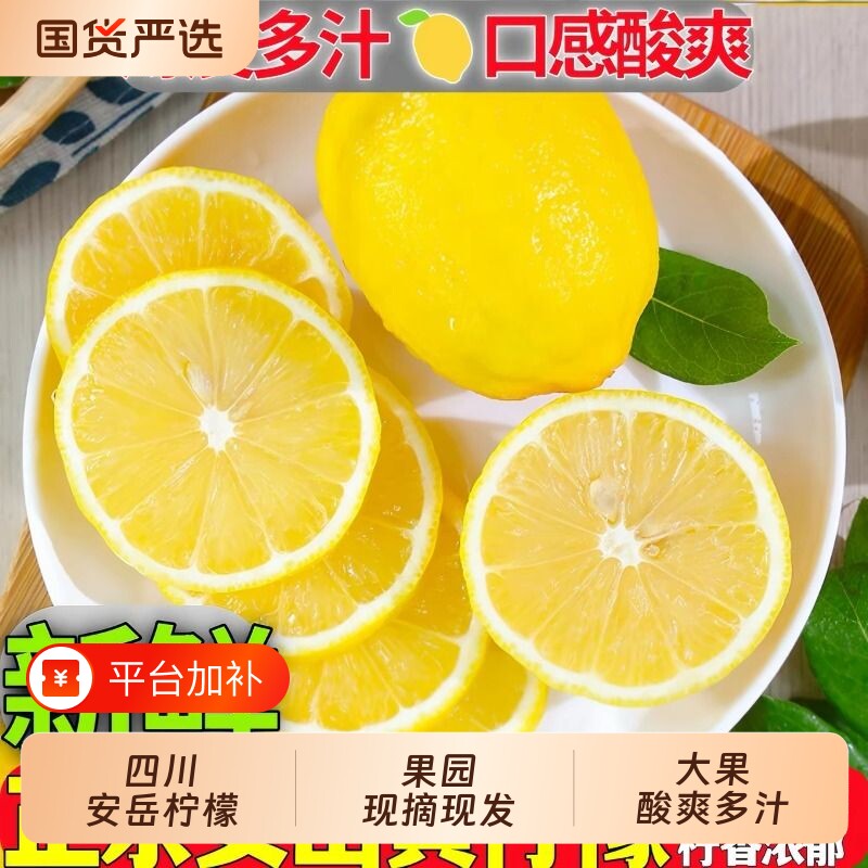 四川安岳黄柠檬新鲜水果皮薄一级奶茶店专用现摘奶茶商用