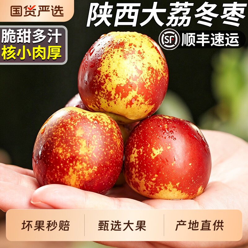 正宗陕西大荔冬枣当季新鲜大枣水果冰糖枣时令现摘脆甜5A级特大果