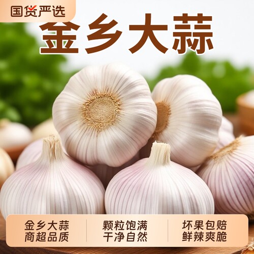 【新鲜干蒜】山东金乡大蒜干蒜4.5cm紫皮蒜头颗粒饱满产地直发