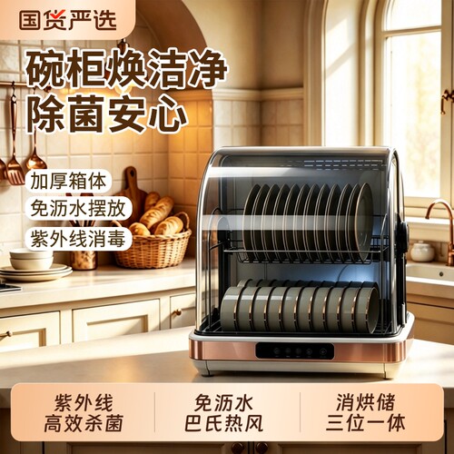 消毒柜家用小型桌面台式紫外线免沥水烘干厨房碗筷餐具消毒碗柜