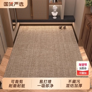 入户门地垫仿剑麻地毯门垫进门大门口脚垫可裁剪防滑高级感客厅