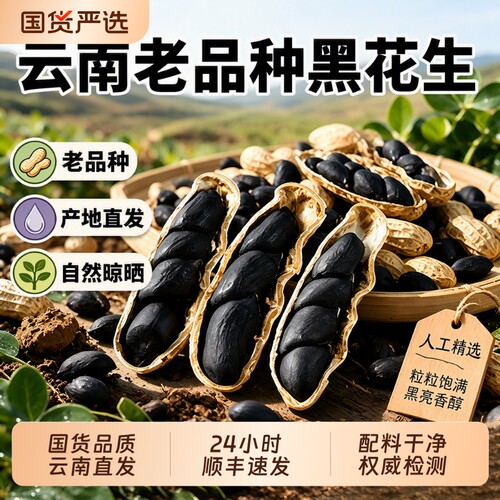 云南黑花生2026新货黑皮花生官方旗舰店普洱晒干带壳紫黑花生米