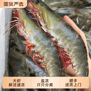 鲜活冷冻白虾海捕青岛大虾3斤