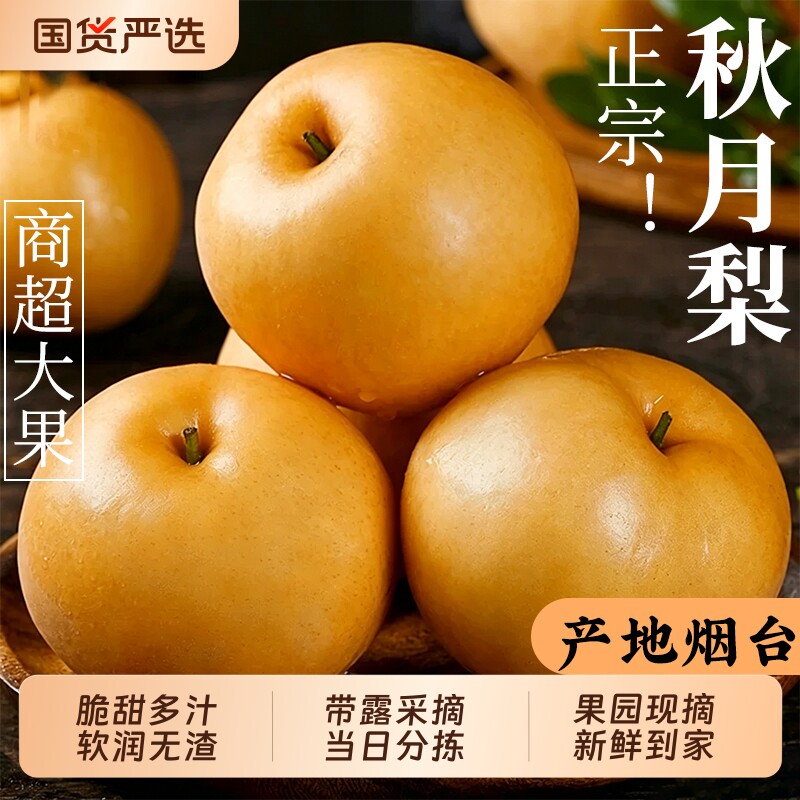 正宗秋月梨新鲜梨子水果应当季整箱中秋山东莱阳蜜梨冰糖雪梨正品