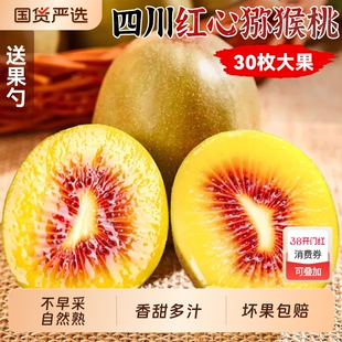 四川红心猕猴桃奇异果水果新鲜应当季蒲江整箱礼盒旗舰店年货节