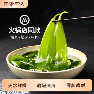 海带苗霞浦特产级新鲜嫩苗火锅专用旗舰店盐渍海带苗芽商用凉拌