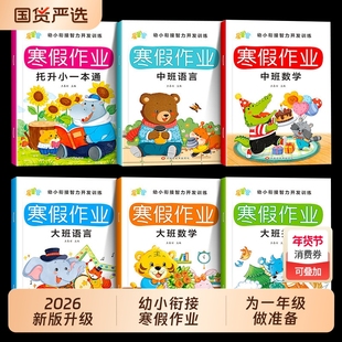 幼小衔接教材全套一日一练幼儿园大班练习册全套学前班寒假作业拼音数学语文识字全套练习册幼升小一年级每日一练思维训练练习本题