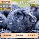 顺丰高山蓝莓王鲜果特大当季 现摘花香新鲜水果孕妇怡颗蓝梅整箱甜