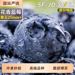 顺丰高山蓝莓王鲜果特大当季花香新鲜水果孕妇怡颗整箱甜大果生鲜