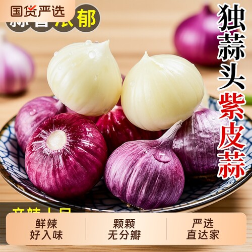 新鲜独头蒜紫皮蒜2026湿蒜大蒜头特大干蒜5斤蒜农家蔬菜批发新蒜