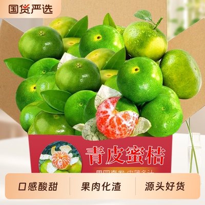 宜昌青皮蜜桔当季新鲜现挖橘子