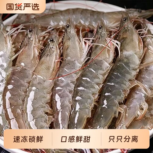 鲜活速冻大虾3040规格急冻锁鲜白虾盐冻大虾青虾冻虾1.5kg*2盒