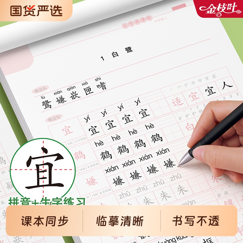 五年级上册下册练字帖课本同步