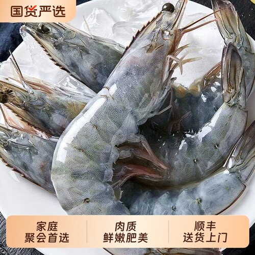 新鲜青岛大虾特大号基围虾盐冻海虾冻虾鲜活速冻对虾厄瓜多尔白虾