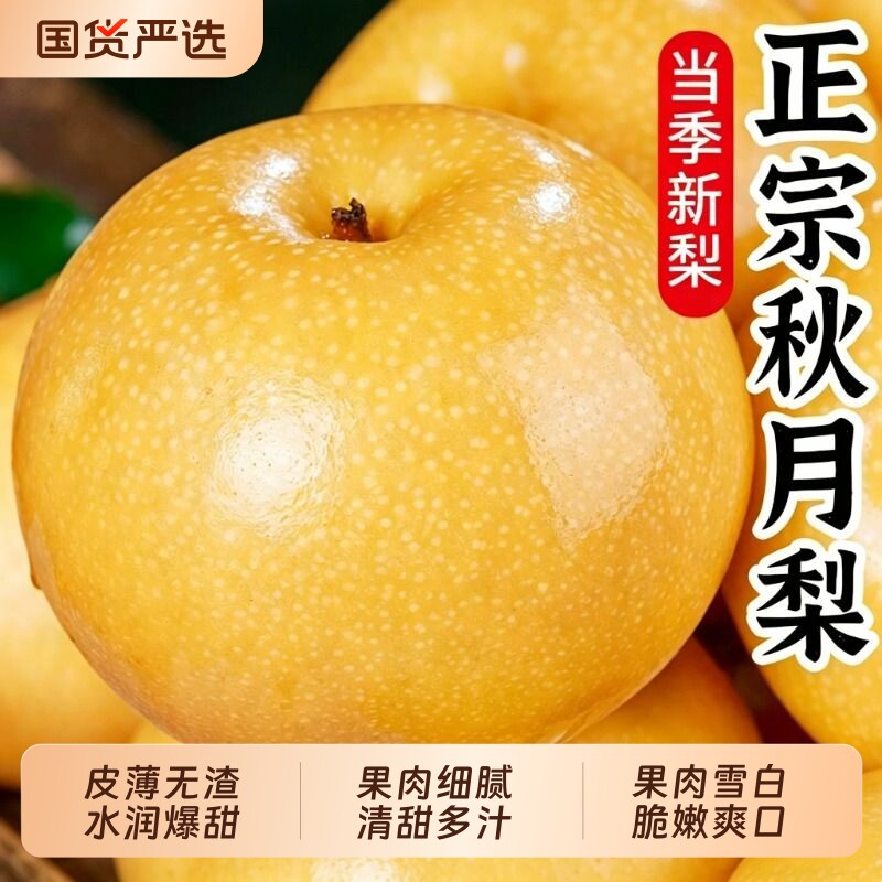 正宗丰水梨秋月梨现摘现发水果新鲜当季冰糖雪梨子大果整箱包邮