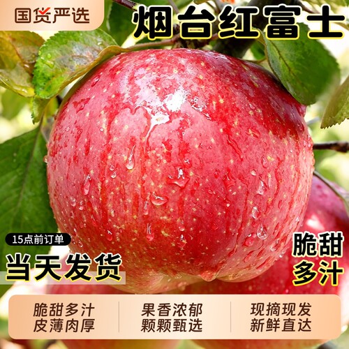 【烟台红富士9斤钜惠】脆甜多汁