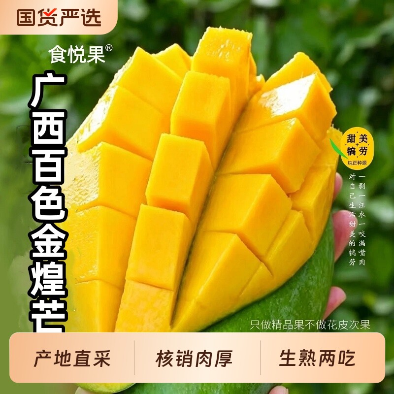 广西百色青皮金煌芒果包邮新鲜现摘当季热带水果核小果肉Q弹大果