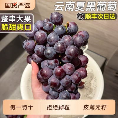 铂果脆甜爽口夏黑葡萄整箱