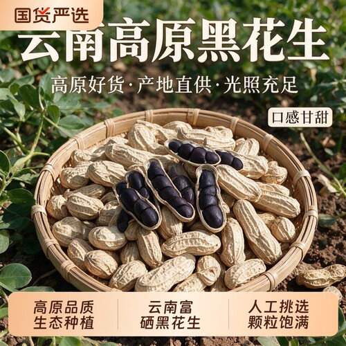 云南特产富硒黑花生带壳小粒新货饱满黑皮花生黑花生米云南黑花生