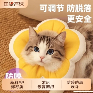 伊丽莎白圈猫绝育项圈防舔猫咪绝育项圈狗狗头套宠物驱虫伊脖圈