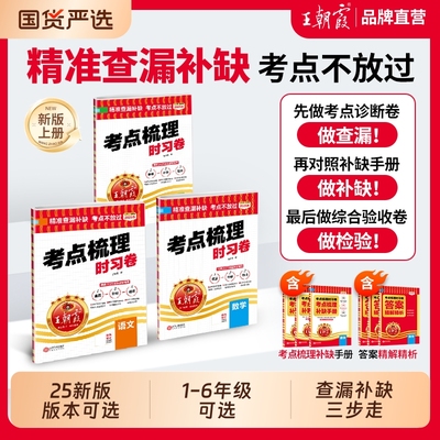 王朝霞考点梳理卷官方正品