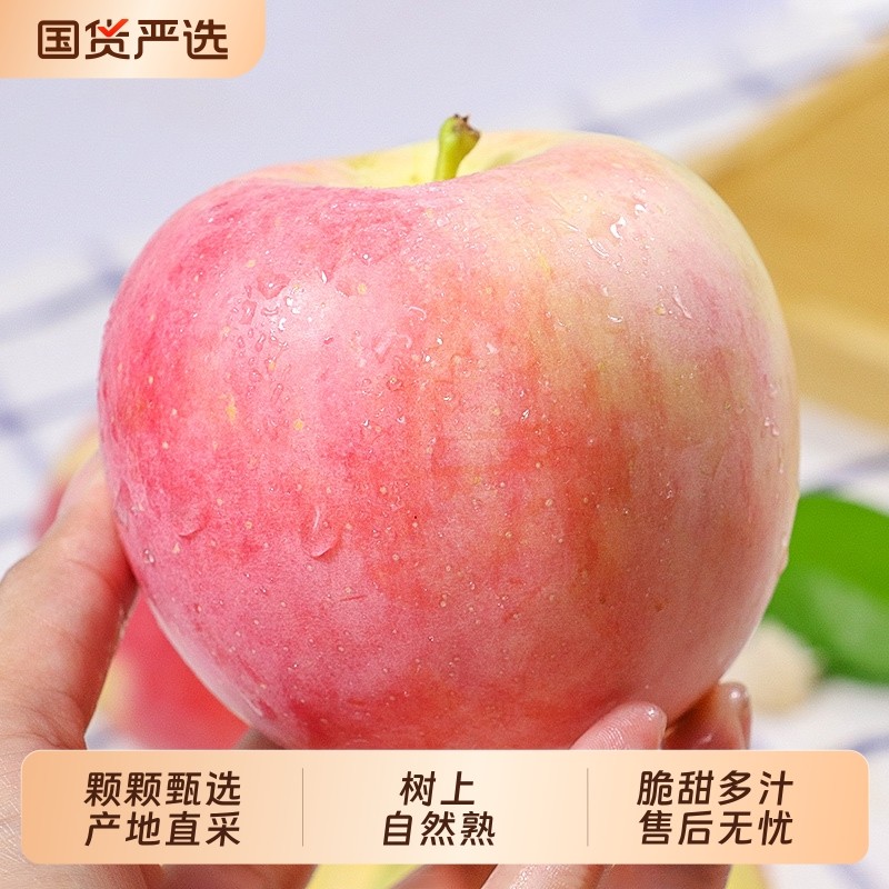 【新鲜】冰糖心苹果应季新鲜水果红富士苹果孕妇整箱包邮多汁脆甜