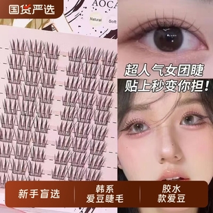 新品 爱豆女团ACE假睫毛单簇懒人三部曲韩系根根分明 超自然短款