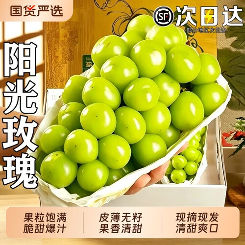阳光玫瑰葡萄新鲜青提脆甜5斤