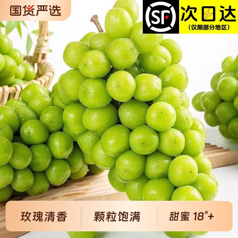 X-PLUS云南阳光玫瑰葡萄晴王香印青提5斤新鲜水果礼盒顺丰包邮