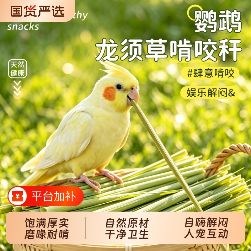 鹦鹉啃咬玩具磨牙棒龙须草解闷牡丹小太阳虎皮磨嘴自嗨天然麦秸秆