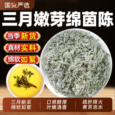 野生茵陈五味子中药材干货正品官方旗舰店新鲜白蒿三月绵茵陈泡水