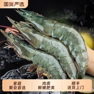 鲜活海捕青岛大虾盐冻基围虾海虾冻虾南美白对虾厄瓜多尔白虾速冻