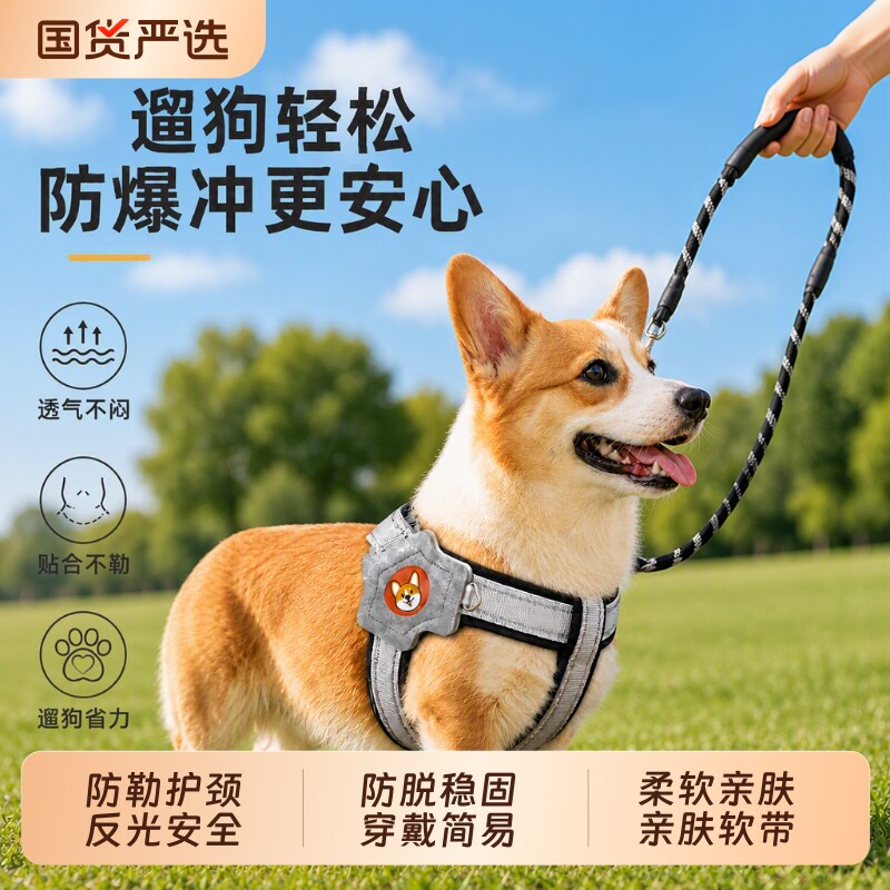 狗狗防爆冲Y型胸背带牵引绳背图片