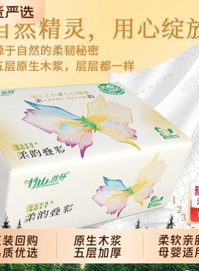 竹山蔗林新品抽纸015A可湿水原生木浆餐巾纸五层加厚家用实惠装