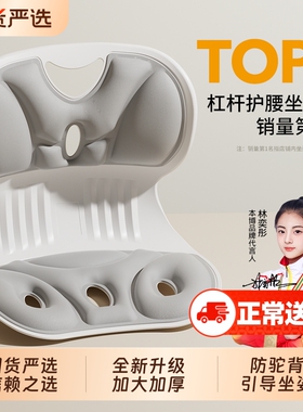 本博人体工学坐姿椅座椅靠垫护腰坐垫神器护腰坐姿椅防驼背支撑