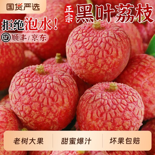 5斤礼盒黑叶荔枝当季新鲜水果现摘老树果妃子桂笑味整箱顺丰送礼