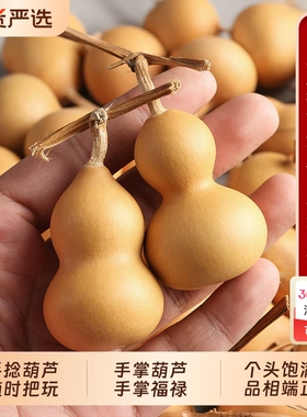天然小葫芦文玩手捻小葫芦手把件带龙头胖墩精品野生葫芦迷你摆件