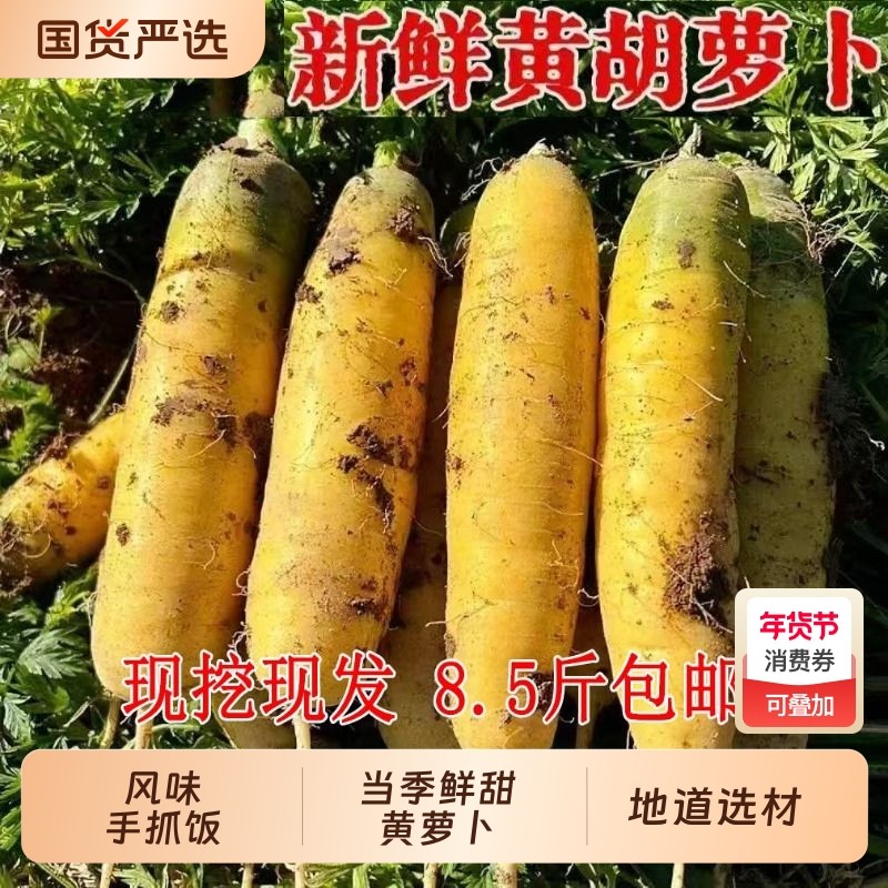 新鲜黄萝卜8.5斤应当季农家自种水果胡萝卜山西特产手抓饭食材,水产肉类/新鲜蔬果/熟食,萝卜/胡萝卜,淘宝优惠券,粉丝福利购,淘宝优惠卷
