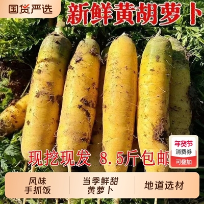 新鲜黄萝卜8.5斤应当季农家自种水果胡萝卜山西特产手抓饭食材