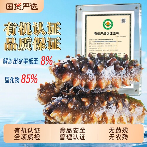 有机认证鲜蒸即食海参冷冻1斤2斤3斤刺参非大连深海食用真空源头