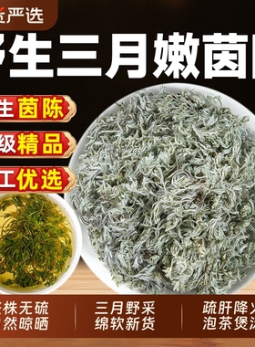 野生茵陈中药材五味子正品官方旗舰店三月绵茵陈白蒿泡茶养生功效