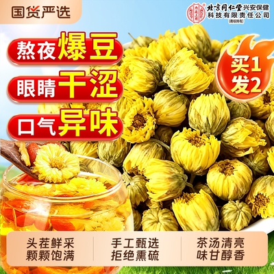 菊花茶胎菊王特级正品去火泡茶