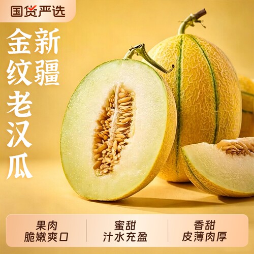 新疆老汉瓜水果哈密瓜新鲜