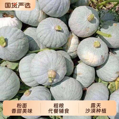 正宗银栗南瓜面糯干面