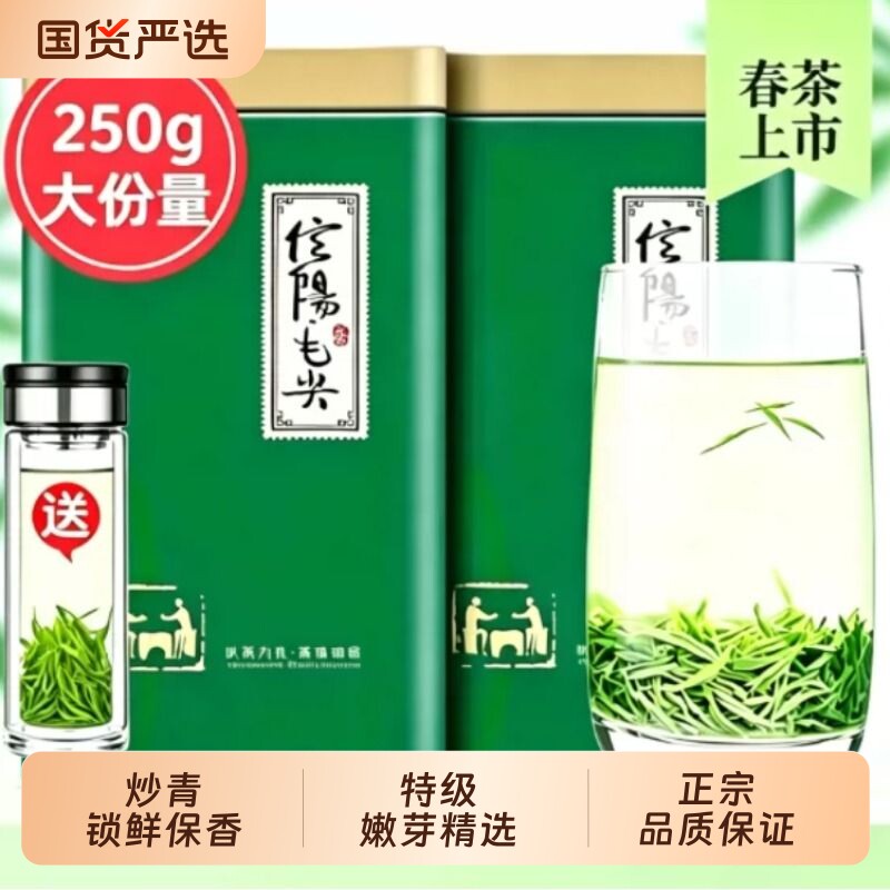 2026信阳毛尖茶叶绿茶明前新茶雨前高山嫩芽浓香型散装春礼盒炒青图片