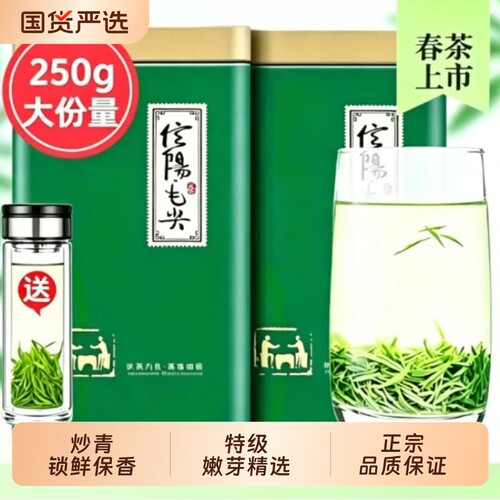2026信阳毛尖明前茶叶绿茶新茶雨前高山嫩芽浓香型散装春礼盒炒青