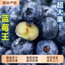 现摘果园 包邮 云南蓝莓鲜果特大果当季 高山花香新鲜水果怡颗孕妇