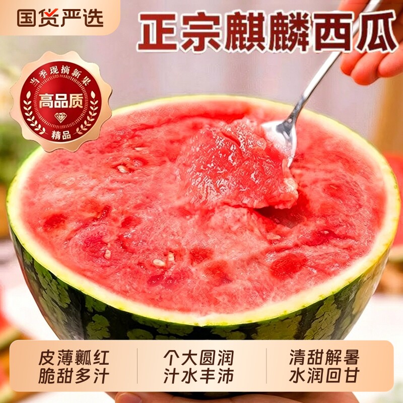 新鲜麒麟西瓜水果当季现摘8424美都有籽薄皮冰淇淋大西瓜脆甜整箱
